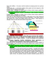 Paraugs 'Medicīniskās attēlošanas fizikālie pamati', 67.