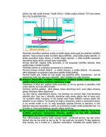 Paraugs 'Medicīniskās attēlošanas fizikālie pamati', 68.