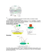 Paraugs 'Medicīniskās attēlošanas fizikālie pamati', 86.