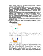 Paraugs 'Medicīniskās attēlošanas fizikālie pamati', 93.
