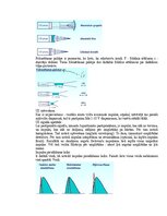 Paraugs 'Medicīniskās attēlošanas fizikālie pamati', 125.