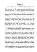 Referāts 'Bebrs', 1.