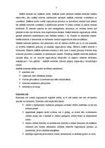 Referāts 'Iekšējās kontroles sistēma SIA "Solana"', 2.