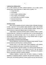 Referāts 'Iekšējās kontroles sistēma SIA "Solana"', 3.