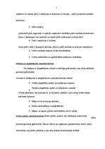 Referāts 'Iekšējās kontroles sistēma SIA "Solana"', 7.