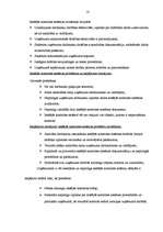 Referāts 'Iekšējās kontroles sistēma SIA "Solana"', 9.