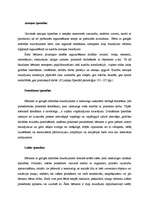 Referāts 'Matemātisko iemaņu apgūšana skolēniem ar garīgās attīstības traucējumiem', 5.