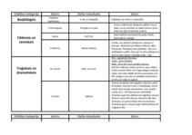 Konspekts 'Estētiskais un literatūra', 2.