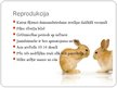 Prezentācija 'Netradicionālā lopkopība - truškopība', 10.
