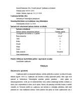 Biznesa plāns 'Biznesa plāns datorspēļu veikalam', 4.