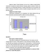 Biznesa plāns 'Biznesa plāns datorspēļu veikalam', 6.
