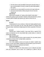 Biznesa plāns 'Biznesa plāns datorspēļu veikalam', 7.