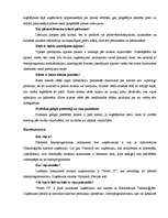 Biznesa plāns 'Biznesa plāns datorspēļu veikalam', 8.