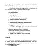 Biznesa plāns 'Biznesa plāns datorspēļu veikalam', 9.