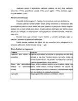 Biznesa plāns 'Biznesa plāns datorspēļu veikalam', 12.