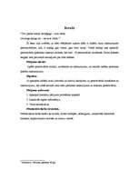 Referāts 'Cilvēka personvārda nozīmes ietekme uz cilvēka raksturu', 2.