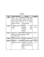 Referāts 'Cilvēka personvārda nozīmes ietekme uz cilvēka raksturu', 4.