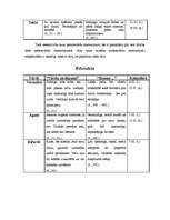 Referāts 'Cilvēka personvārda nozīmes ietekme uz cilvēka raksturu', 6.