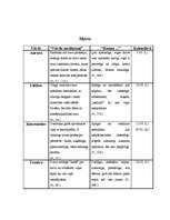 Referāts 'Cilvēka personvārda nozīmes ietekme uz cilvēka raksturu', 11.