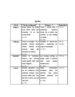 Referāts 'Cilvēka personvārda nozīmes ietekme uz cilvēka raksturu', 13.