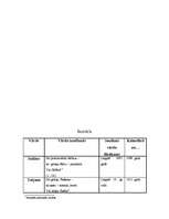 Referāts 'Cilvēka personvārda nozīmes ietekme uz cilvēka raksturu', 23.