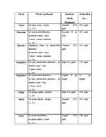 Referāts 'Cilvēka personvārda nozīmes ietekme uz cilvēka raksturu', 32.