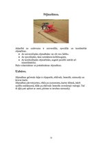 Prezentācija 'Tehnikas vienības', 13.