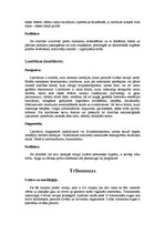 Konspekts 'Medicīniskā parazitoloģija', 4.