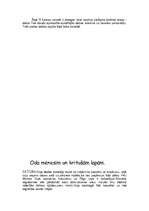 Referāts 'RVT kursa darbs literatūrā', 10.