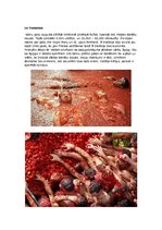 Konspekts 'Festivāli pasaulē', 2.