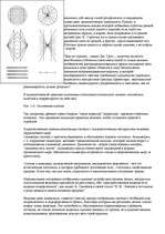 Konspekts 'О восприятии информации различными культурными группами', 142.