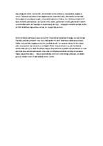 Eseja 'Pirmās tikšanās priekšvakars', 3.