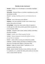 Konspekts 'Filosofijas terminu skaidrojumi', 1.