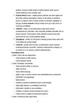 Konspekts 'Projektu novērtēšanas kritēriji', 5.