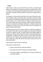 Referāts 'Vadības stilu analīze SIA "Rector"', 2.