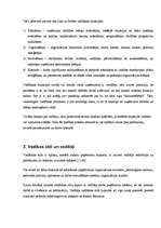 Referāts 'Vadības stilu analīze SIA "Rector"', 6.