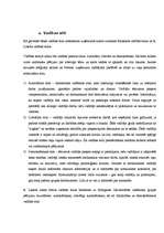 Referāts 'Vadības stilu analīze SIA "Rector"', 7.