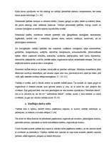 Referāts 'Vadības stilu analīze SIA "Rector"', 9.