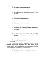 Referāts 'Vadības stilu analīze SIA "Rector"', 25.