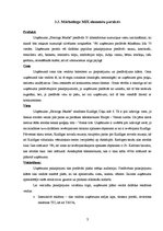 Referāts 'Uzņēmuma "Hercogs Jēkabs" attīstības plāns', 17.