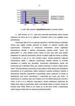 Prakses atskaite 'Profesionālās prakses pārskats', 14.