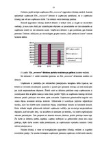 Prakses atskaite 'Profesionālās prakses pārskats', 16.