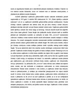 Prakses atskaite 'Profesionālās prakses pārskats', 17.