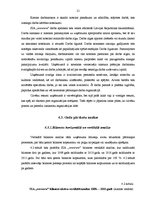 Prakses atskaite 'Profesionālās prakses pārskats', 21.