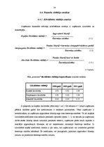 Prakses atskaite 'Profesionālās prakses pārskats', 26.