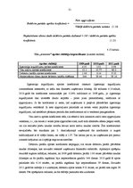 Prakses atskaite 'Profesionālās prakses pārskats', 31.