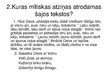 Prezentācija 'Mīti', 4.