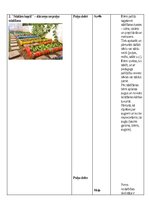 Konspekts 'Patstāvīgais darbs dabaszinību metodikā - Darbs dabā pavasarī', 6.