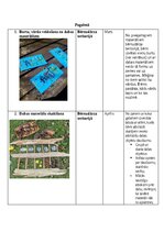 Konspekts 'Patstāvīgais darbs dabaszinību metodikā - Darbs dabā pavasarī', 10.