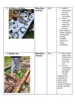 Konspekts 'Patstāvīgais darbs dabaszinību metodikā - Darbs dabā pavasarī', 11.